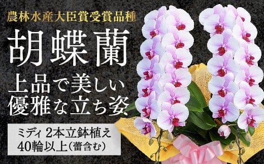 yRRszC017 y_ѐYb܎ܕiz~fBnsNӒIwPiƂЂ߁jx2{