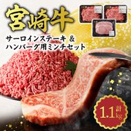 宮崎牛 サーロインステーキ & ハンバーグ用ミンチ セット 合計 1.1kg　N0140-ZB241