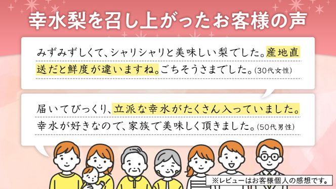 【 JA 北つくば 】 筑西ブランド 認証品 幸水 5kg 2025年産 先行予約 梨 果物 フルーツ なし ナシ [AE008ci]