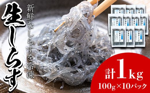 【22517】鹿児島県産生しらす(冷凍)計1kg(100g×10パック) 獲れたてしらすを急速冷凍！鮮度抜群なしらすをご家庭で気軽に！【東串良町漁業協同組合】