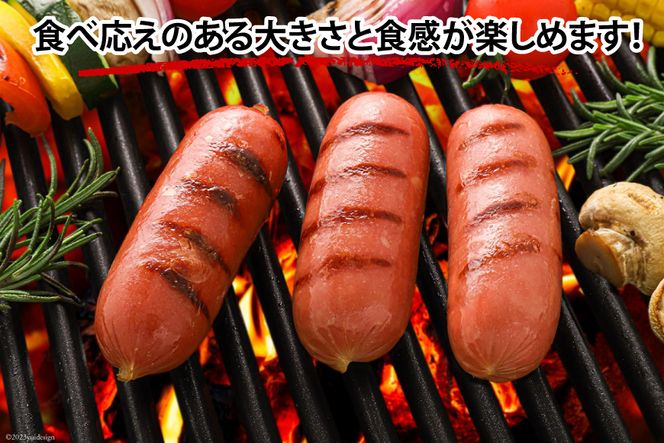 ソーセージ 美味新鮮 フランクフルト ソーセージ 280g×10個 [日本ハムマーケティング 宮崎県 日向市 452060191] 鶏 豚 肉 ニッポンハム 冷蔵