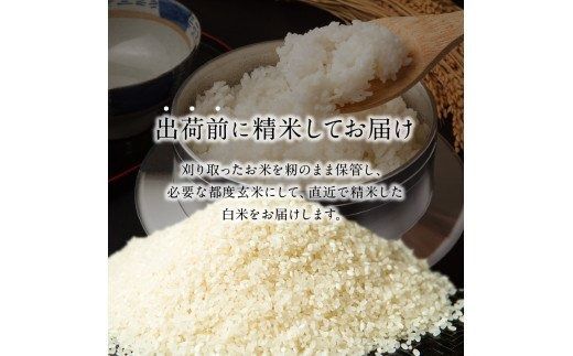 【T10031】【定期便】丹生米の里 丹川のお米 ヒノヒカリ白米 10kg×6回お届け定期便