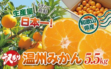 訳あり 和歌山の美味しい温州みかん 約5.5kg 先行予約 【2023年12月中旬～2月中旬に順次発送（お届け日指定不可）】/ご家庭用 サイズ混合 訳ありみかん ミカン 柑橘 【mat307】
