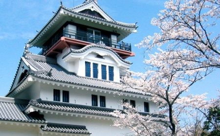 R5-957．四万十市おもてなしタクシー②「小京都中村を散策コース」2時間