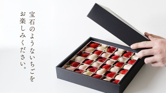【 お歳暮 熨斗付 】赤いちごと白いちごの宝石箱 36粒【12月から発送開始】（茨城県共通返礼品 [いちご]：城里町産） いちご 苺 イチゴ 白いちご 白イチゴ 宝石箱 [BI377-NT]