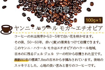 ＜希少モカとスペシャリティコーヒー＞翌月末迄に順次出荷【c450_el_x2】