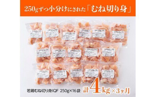 【３ヶ月定期便】宮崎県産若鶏むね切身 計4kg（250g×16袋） [D00708t3]
