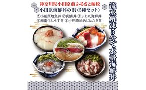 111-1621　【曽我の梅干し、小田原地あじ、小田原港直送地魚丼、大磯港直送湘南生しらす】小田原海鮮丼の具（5種セット）