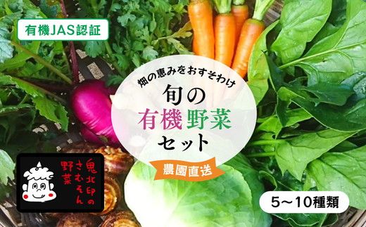 有機野菜セット＜野菜 やさい 詰め合わせ 野菜セット 旬 季節 サラダ 新鮮 産地直送 セット 愛媛県 鬼北町＞ ※離島への配送不可