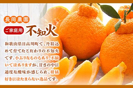 【先行受付】【家庭用】不知火 ( デコポン )と同品種 約 10kg 長岡農園《2月中旬-4月上旬頃出荷》 和歌山県 日高川町 ご家庭用---wshg_ngk11_2c4j_24_16000_10kg---