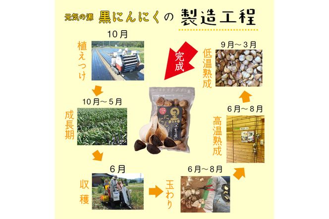 元気の源　黒にんにく　240g [No.672]