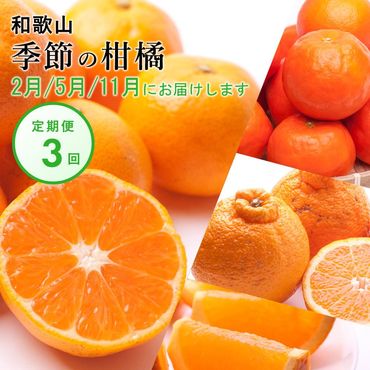 【 2・5・11月 全3回 】 柑橘定期便B【IKE8】BB90146