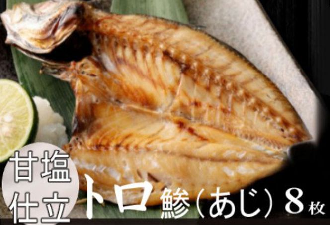 いずま海産オリジナル６回定期便【偶数月発送】　iz035