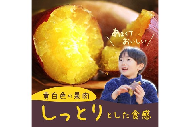 【数量限定50】農家直送 令和7年産　さつまいも3kgセット　芋 甘い ホクホク デザート 国産 紅はるか べにはるか サツマイモ さつま芋 薩摩芋 やきいも 焼芋 焼き芋 焼きいも 旬 土付き 栽培期間中 無農薬 有機肥料 農家応援 送料無料　SJ00008