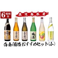 a764 白金酒造おすすめ6本セット 小(900ml×1本・720ml×5本)【南国リカー】