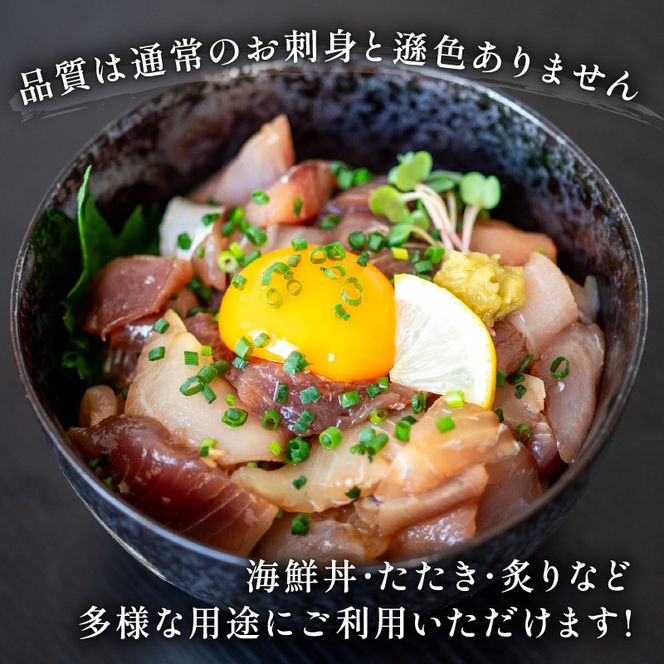 訳あり 刺身 切り落とし 50g×12袋 海鮮 魚貝類 魚介類 刺し身 旬の刺身 小分け 手軽 簡単 冷凍 三陸産 岩手県 大船渡市 [toretate001]