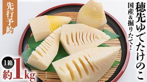 《 先行予約 》 掘りたて 穂先 ゆでたけのこ 約1kg 【 2026年 4月中旬 以降発送 】 野菜 春 旬 期間限定 数量限定 国産 産地直送 箱 真空パック 個包装 茹で 筍 タケノコ 竹の子 [AQ002us]