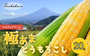 ＜2025年先行予約＞【富士山の麓で育つ】富士河口湖町産 Inakakaraとうもろこし「ドルチェドリーム」20本入 FBA009