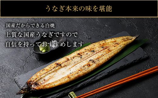 【CF002】鹿児島県大隅産　千歳鰻の白焼鰻「大」2尾【CH159】