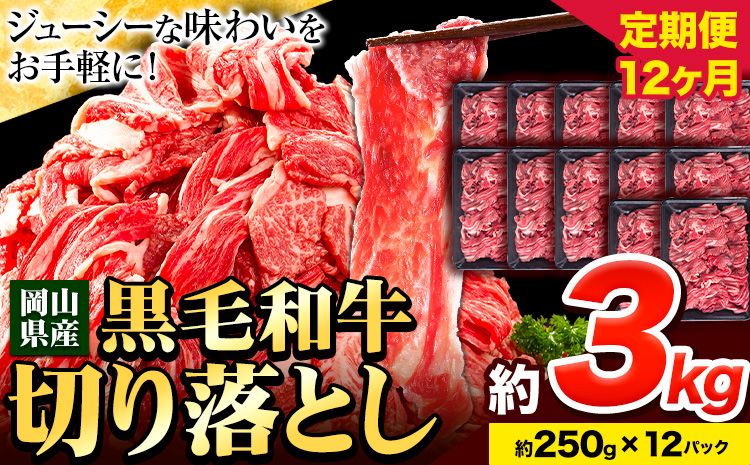 牛肉 肉 黒毛和牛 切り落とし 訳あり 大容量 小分け[定期便] 3kg 1パック 250g 12回 [お申込月の翌月より発送]岡山県産 岡山県 笠岡市 お肉 にく カレー 牛丼 切り落し 切落し---223_f747tei_23_360000_36kg---