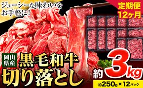 牛肉 肉 黒毛和牛 切り落とし 訳あり 大容量 小分け【定期便】 3kg 1パック 250g 12回 《お申込月の翌月より発送》岡山県産 岡山県 笠岡市 お肉 にく カレー 牛丼 切り落し 切落し---223_f747tei_23_360000_36kg---