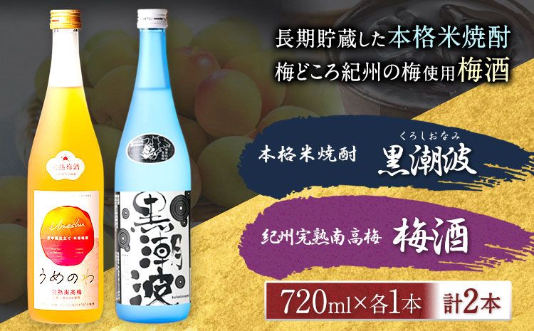 本格米焼酎 黒潮波 (くろしおなみ) と 紀州完熟南高梅 梅酒 720ml×各1本 2本セット 厳選館[90日以内に出荷予定(土日祝除く)] 和歌山県 日高川町 酒 梅酒 焼酎 米焼酎 果実酒---wshg_genknku_90d_22_13000_2p---