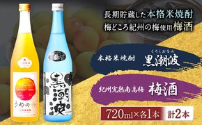 本格米焼酎 黒潮波 （くろしおなみ） と 紀州完熟南高梅 梅酒 720ml×各1本 2本セット 厳選館《90日以内に出荷予定(土日祝除く)》 和歌山県 日高川町 酒 梅酒 焼酎 米焼酎 果実酒---wshg_genknku_90d_22_13000_2p---