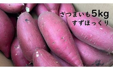 BS-18 【12月発送】さつまいも　すずほっくり　5kg