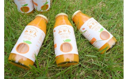E040 まるごと秋穂育ち　みかんジュースセット（5本入り）