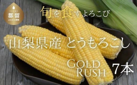 [2025年 先行予約]山梨県都留市産 ゴールドラッシュ 7本|炭野菜 野菜 とうもろこし 間伐材 炭 肥料 SDGs 炭香ファーム