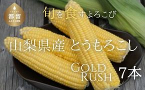 【2026年先行予約】山梨県都留市産 ゴールドラッシュ 7本｜ 新鮮 朝採れ もぎたて発送 甘い とうもろこし トウモロコシ 産地直送 送料無料【炭香ファーム】FC002