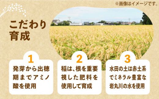 【全5回定期便】【令和6年産予約受付】 ひかりファーム の 夢つくし 5kg【2024年10月以降順次発送】《《築上町》【ひかりファーム】 [ABAV017]