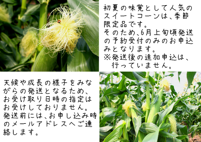 10-153【令和8年産予約受付】スイートコーン（約3kg）「京築の恵み」【令和8年6月上旬～6月下旬発送】