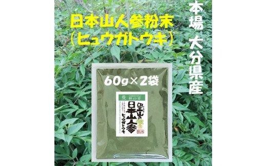 【F09002】日本山人参（ヒュウガトウキ）粉末　本場大分県産