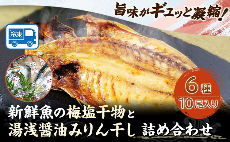 新鮮魚の梅塩干物と湯浅醤油みりん干し6品種10尾入りの詰め合わせ(和歌山近海産の新鮮魚使用) 日高町厳選館[90日以内に出荷予定(土日祝除く)]和歌山県 日高町 魚 さかな 干物 6種 10尾 さば 真あじ 太刀魚 いさぎ うおぜ さんま みりん干し 送料無料---wsh_fgenhset6_90d_22_14000---