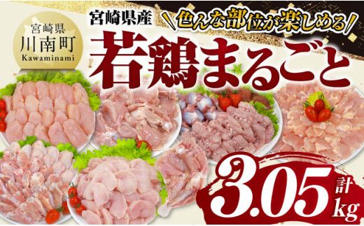 宮崎県産 若鶏 まるごと 3.05kg 【 もも むね ささみ 砂肝 手羽先 手羽元 小肉 鶏肉 とり肉 セット ごはん 料理 】[D11614]