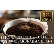 a682 選べる！自家焙煎SPECIALTY COFFEE＆焼酎珈琲豆SAKURAJIMA HEART(計395g)スペシャルティコーヒーのハートブレンド豆or粉！【ハートカフェ】自家焙煎 焙煎 コーヒー豆 粉 ドリップ バッグ セット