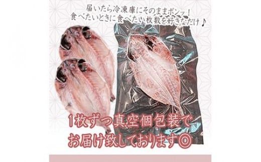 109-1334　一番人気、小田原の魚「アジ」をたっぷり楽しめます。小田原干物　アジ１０枚セット