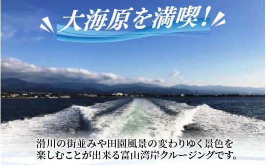 富山湾岸クルージング乗船引換券 / 期間限定 ペア 2名