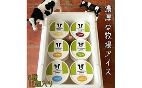 【北海道産搾りたて生乳使用】ひらかわ牧場のアイスクリーム 定番の5種12個セット フレッシュミルク バニラ チョコ キャラメルクランチ 抹茶 デザート スイーツ お取り寄せ ギフト せたな町 ふるさと納税