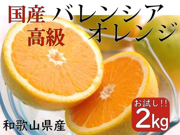 希少 高級 バレンシアオレンジ 2kg 和歌山県産 武内園   【先行予約】BA37