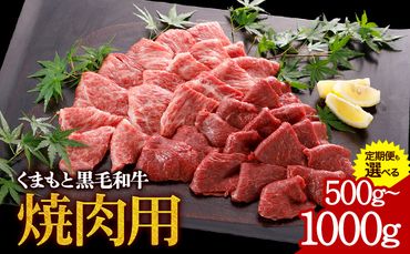 牛肉 くまもと黒毛和牛 焼肉用 500g 定期便 2回 5回 1000g 株式会社KAM Brewing[30日以内に出荷予定(土日祝除く)]---so_fantkwyk_30d_24_20000_500g---