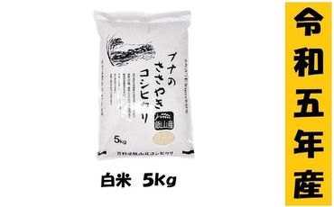 【９月から寄附額・容量変更無】【令和5年産 】「ブナのささやきコシヒカリ」5kg(5-61A)