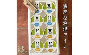 【北海道産搾りたて生乳使用】ひらかわ牧場のアイスクリーム おすすめ2種8個セット フレッシュミルク キャラメルクランチ デザート スイーツ お取り寄せ ギフト せたな町 ふるさと納税