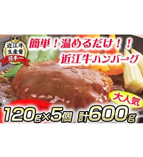 【総本家肉のあさの】近江牛ハンバーグ【600ｇ（120ｇ×5個）】【AE14U】