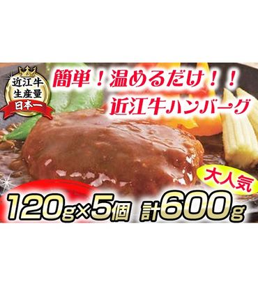 【総本家肉のあさの】近江牛ハンバーグ【600ｇ（120ｇ×5個）】【AE14SM】