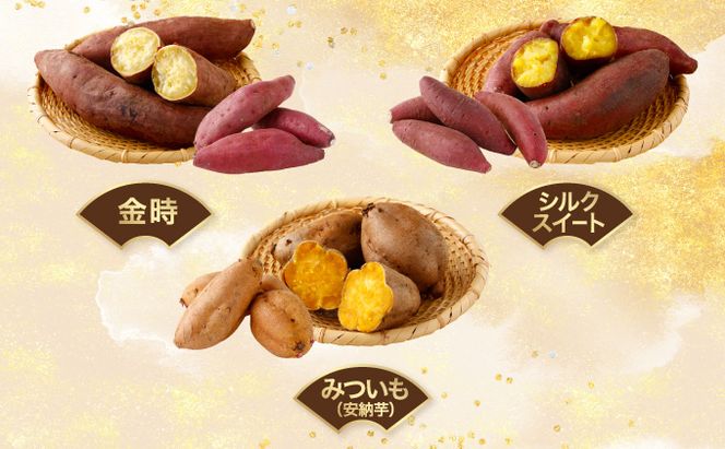 【信州産】さつまいも3種食べ比べセット15kg サツマイモ3種類食べ比べセット【紅はるか】【安納芋】【シルク