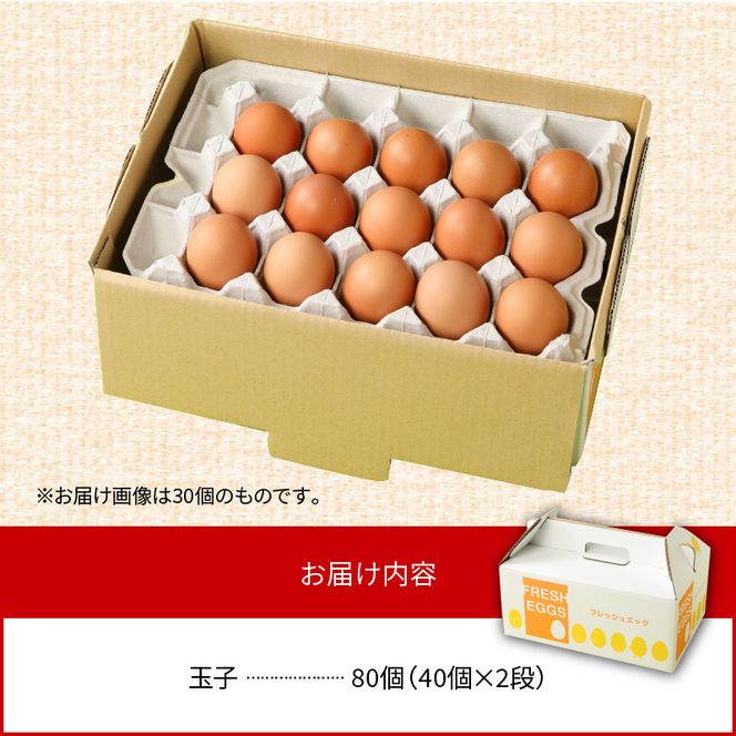 延岡産もみじ 玉子 卵 たまご タマゴ 80個　N033-ZA234