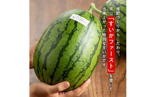 【令和8年産】宮崎県産　小玉スイカ（マダーボール）2玉 【 数量限定 国産 宮崎県産 西瓜 フルーツ 果物 】 [C10701]
