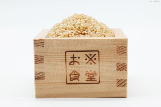一分づき玄米 真空包装 300g [お米食堂 富山県 舟橋村 57050238] 米 玄米 1分づき 真空パック 備蓄米 備蓄食品 備蓄 メール便